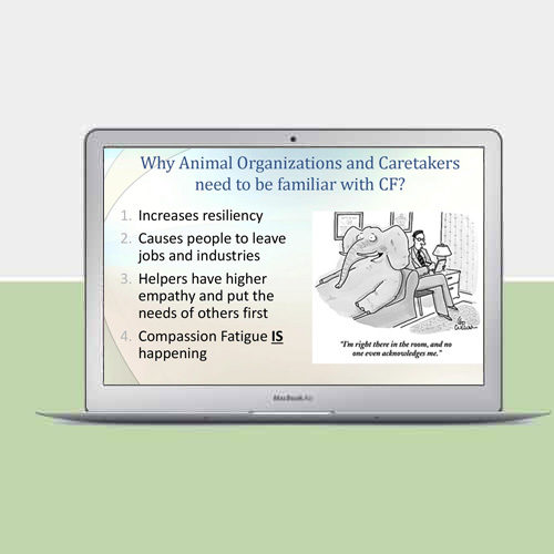 The Cost of Caring Understanding Compassion Fatigue –  Category in Resources would be Educational